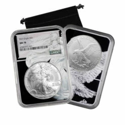 Top 10 😀 Coin Collector 2023 MS70 NGC Silver Eagle With Dual-Core Overlay 😍