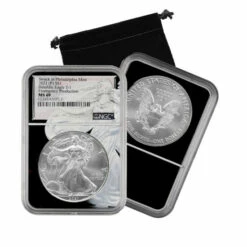 New 🔔 Coin Collector 2021 P-Mint MS69 NGC Type 1 Emergency Silver Eagle W/Lady Liberty Core 🧨