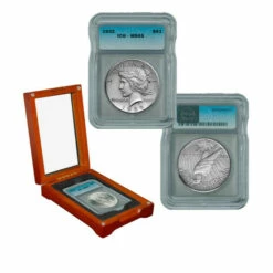 Cheapest ❤️ Coin Collector 1922 P-Mint MS65 ICG Silver Peace Dollar Coin 😉